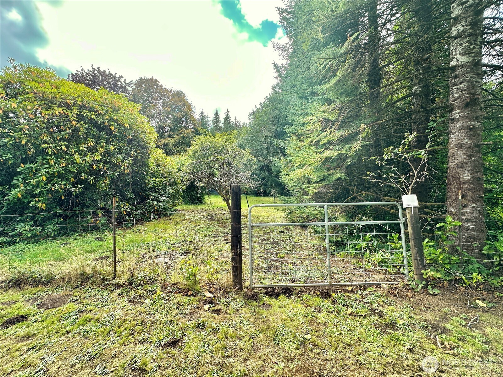 945 Highway 101 Cosmopolis, WA 98537 - Photo 27 of 39 a garden view