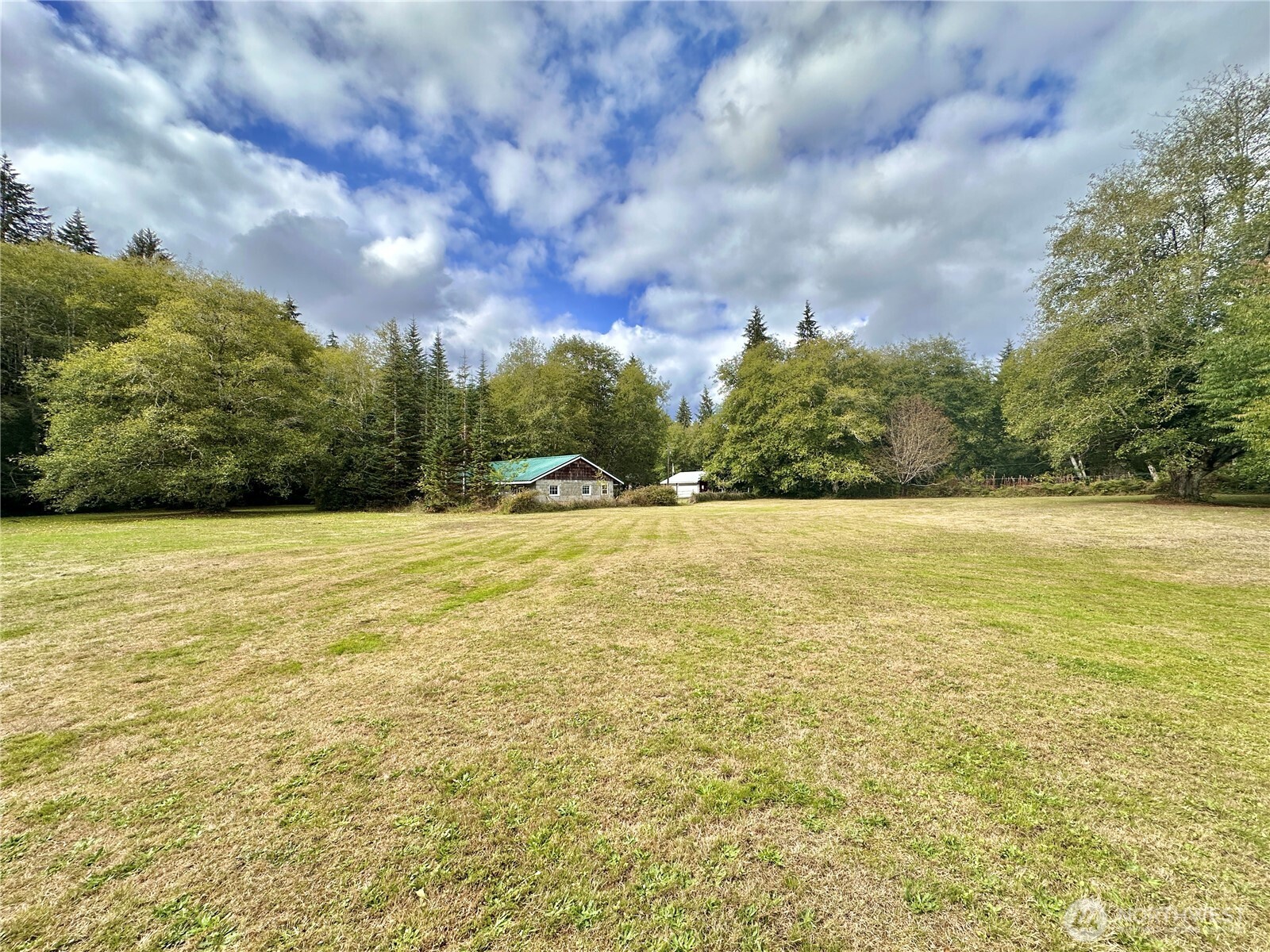945 Highway 101 Cosmopolis, WA 98537 - Photo 28 of 39 a view of outdoor space with swimming pool and green space