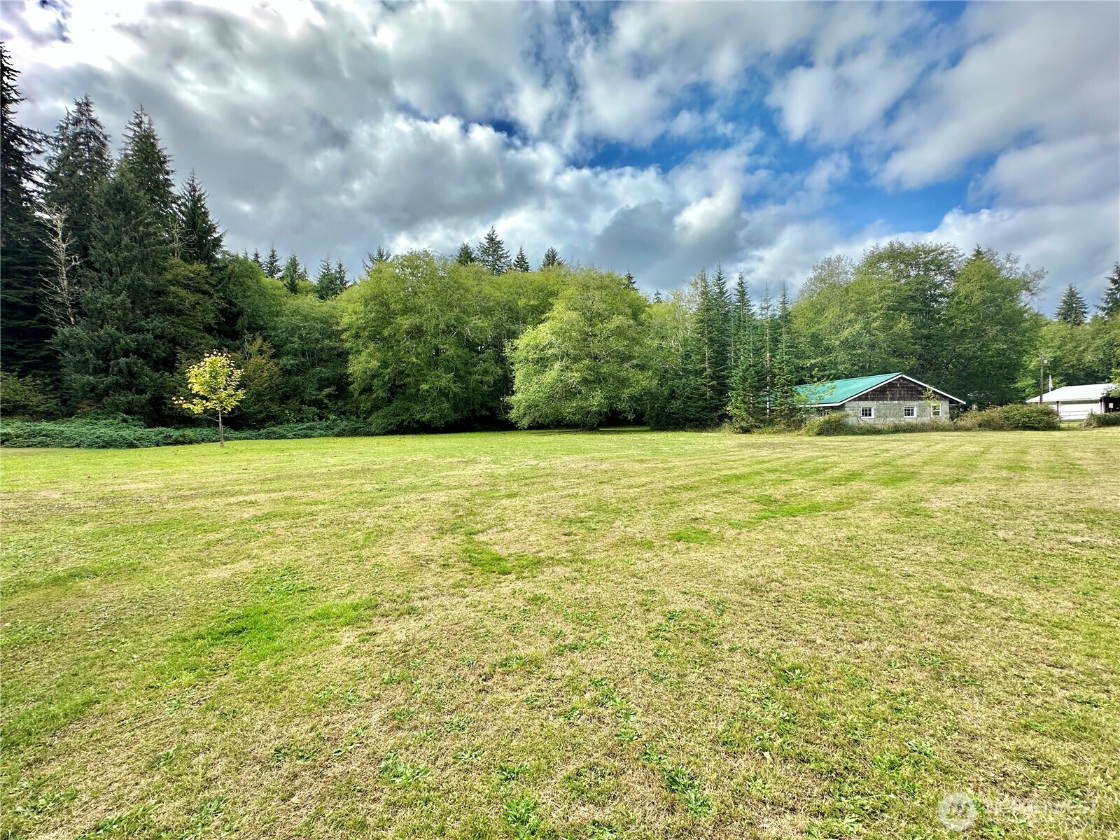 945 Highway 101 Cosmopolis, WA 98537 - Photo 29 of 39 a view of a swimming pool with lawn chairs and plants