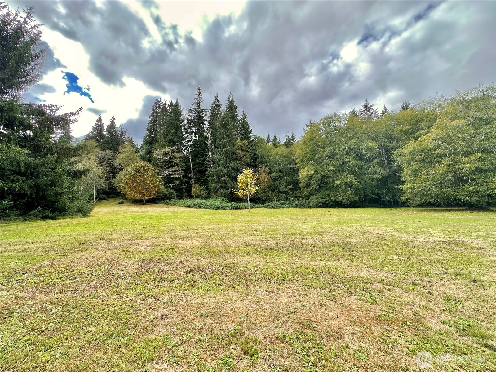 945 Highway 101 Cosmopolis, WA 98537 - Photo 32 of 39 a view of an ocean