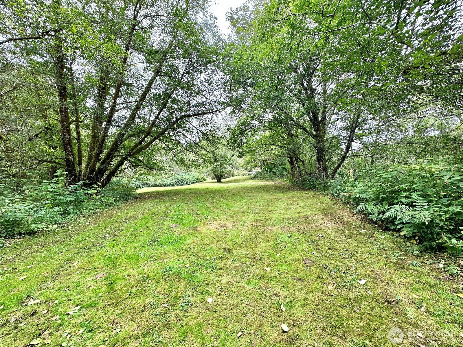 945 Highway 101 Cosmopolis, WA 98537 - Photo 35 of 39 a view of yard with green space