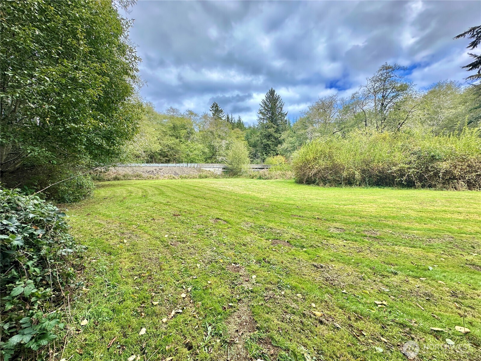 945 Highway 101 Cosmopolis, WA 98537 - Photo 36 of 39 a view of a field with an trees in the background
