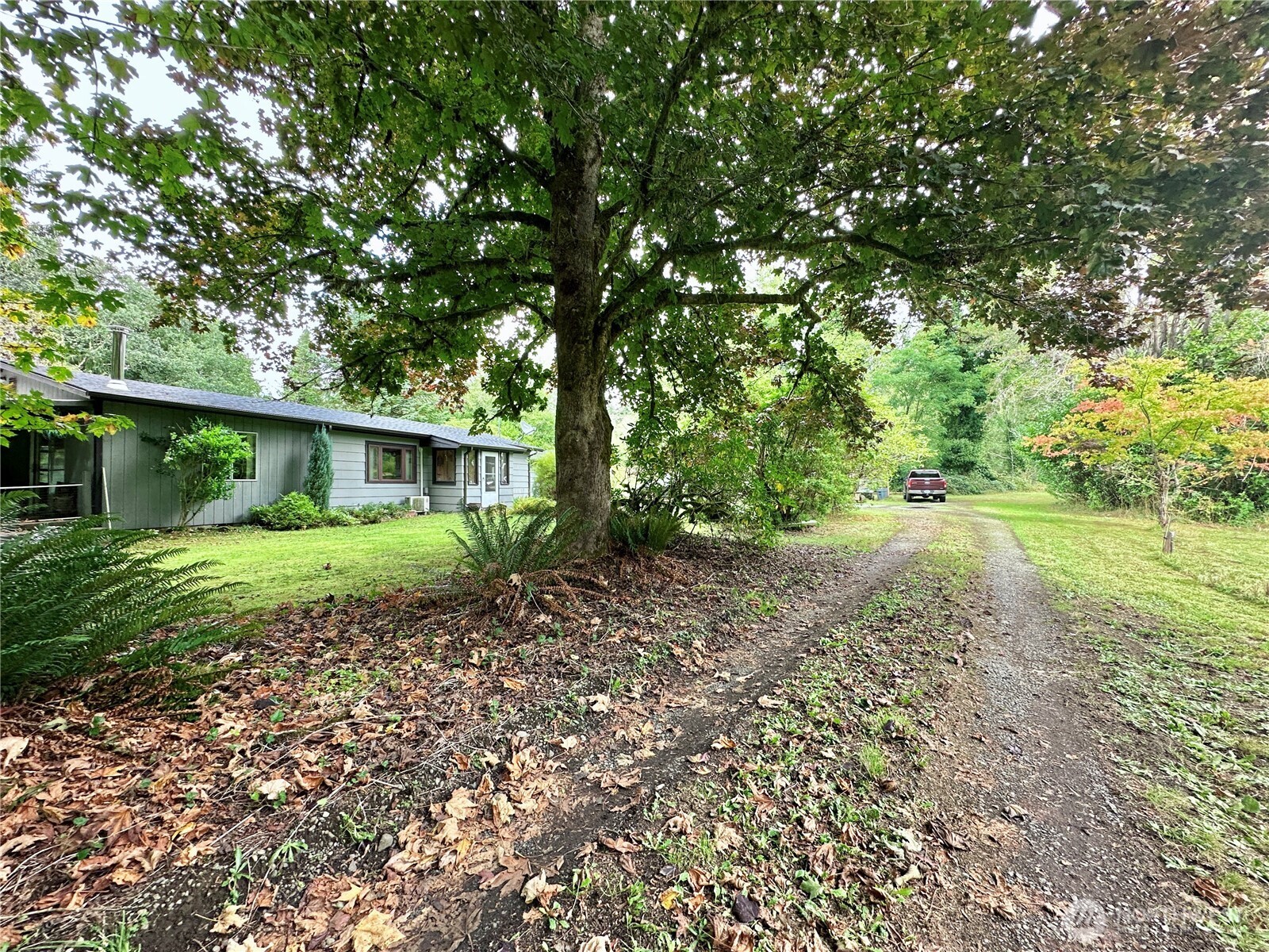 945 Highway 101 Cosmopolis, WA 98537 - Photo 38 of 39 a front view of a house with a yard