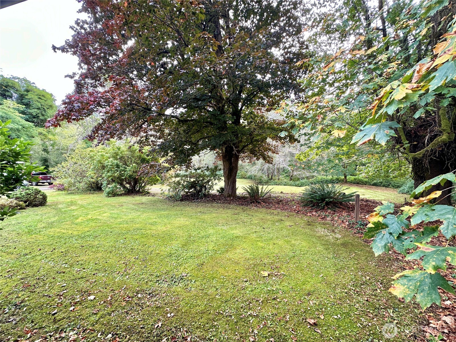 945 Highway 101 Cosmopolis, WA 98537 - Photo 39 of 39 a view of outdoor space with deck and yard