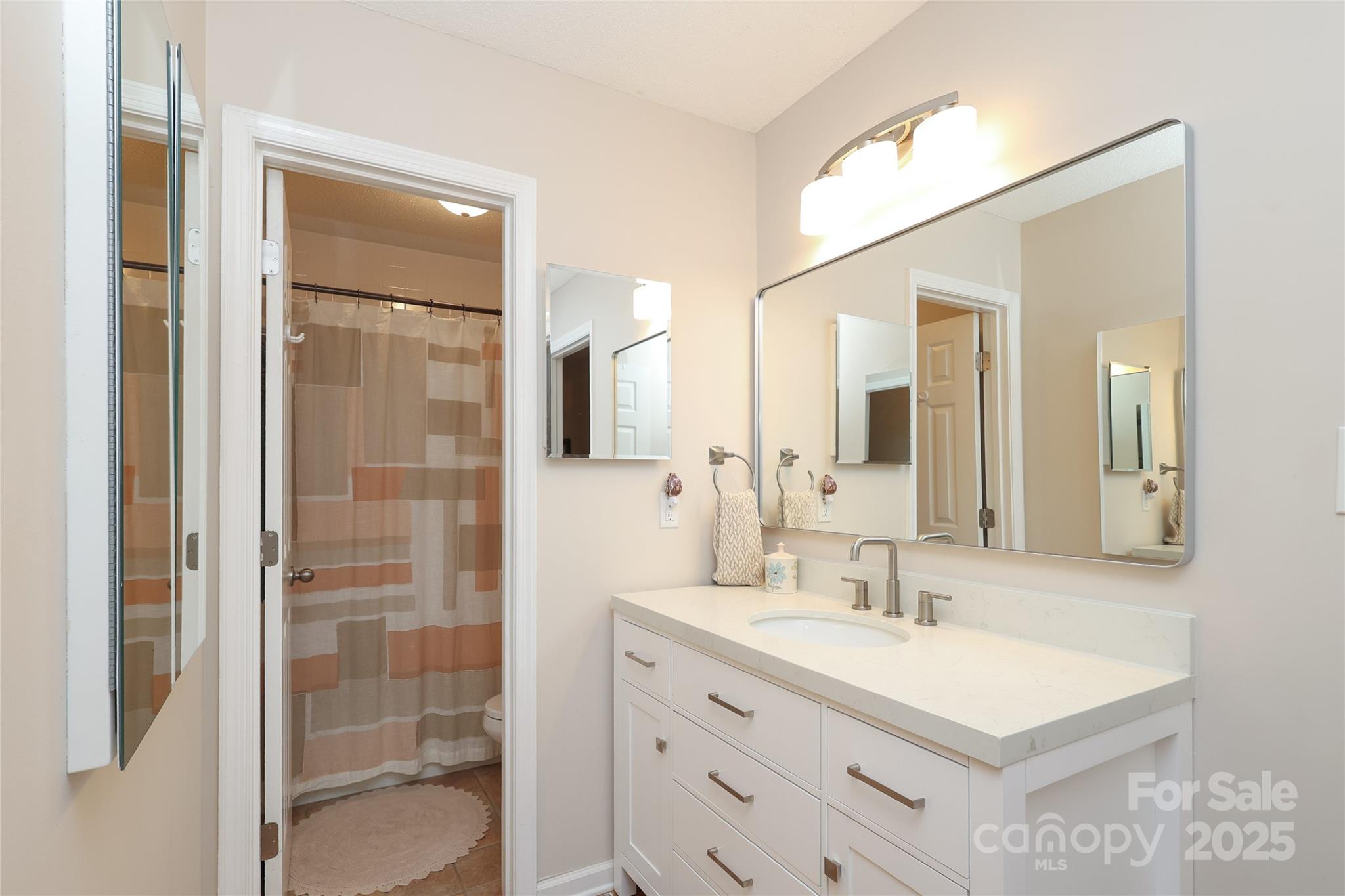 8084 Knights Bridge Road Charlotte, NC 28210 - Photo 17 of 30 a bathroom with a shower sink vanity and mirror