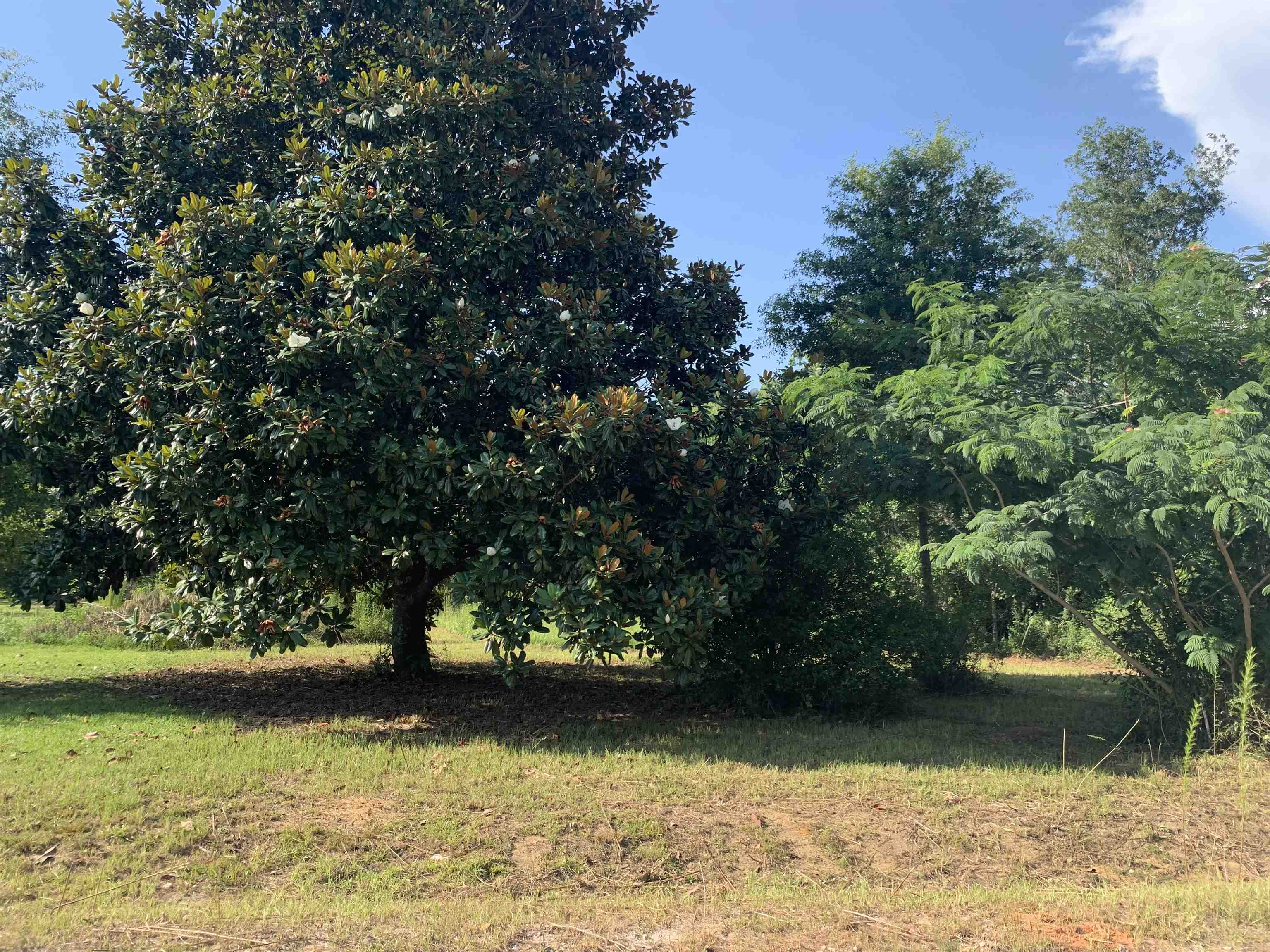 26131 Ponderosa Farm Road East Robertsdale, AL 36567 - Photo 5 of 5