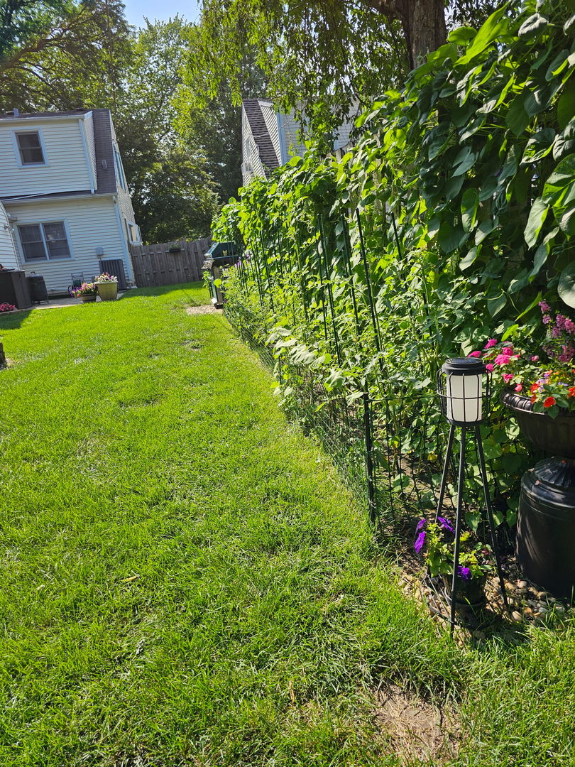 745 South Chestnut Avenue Arlington Heights, IL 60005 - Photo 16 of 23