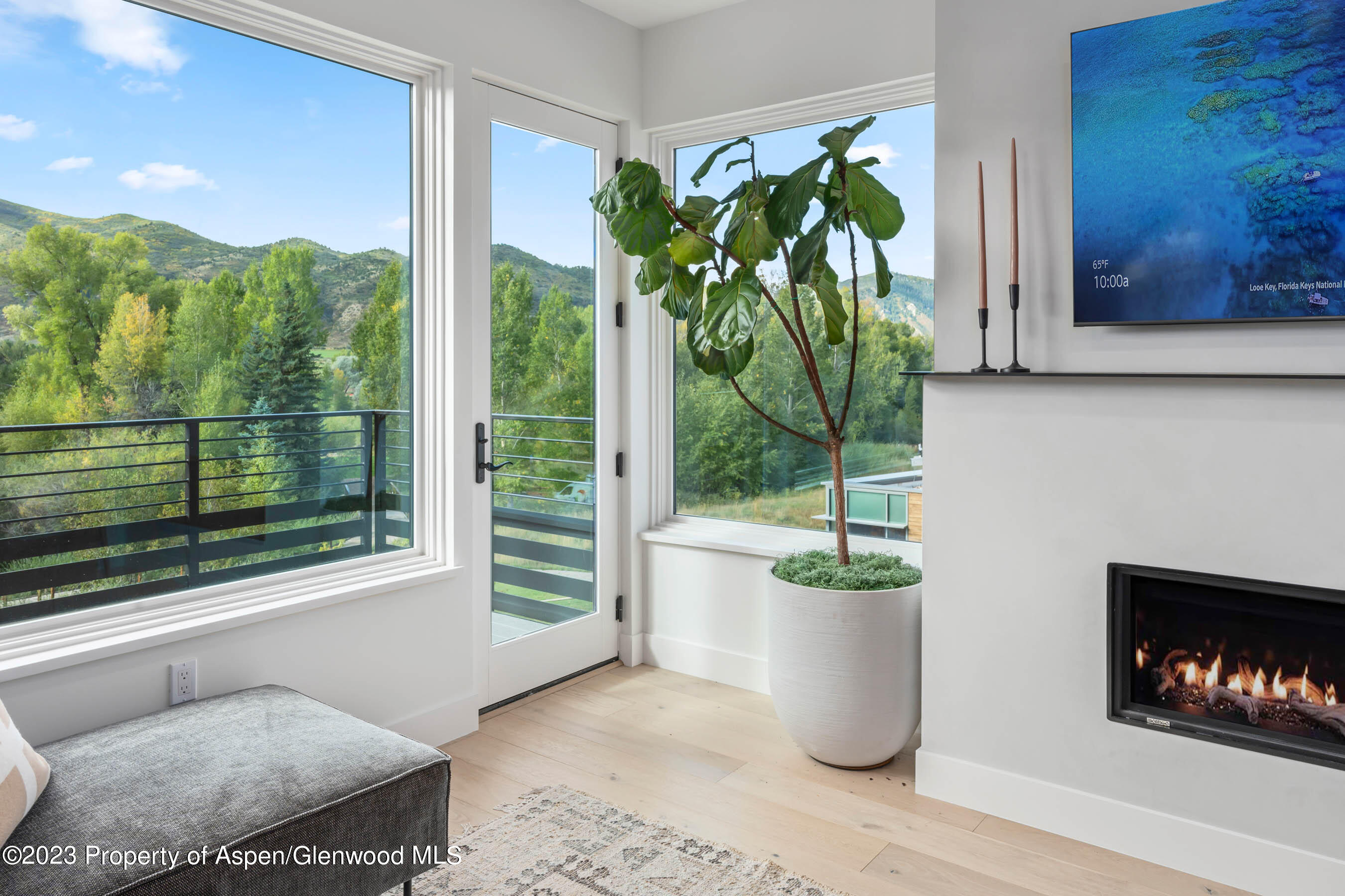 22840 Two Rivers Road, Unit 300 Basalt, CO 81621 - Photo 4 of 28 a potted plant sitting in front of a window