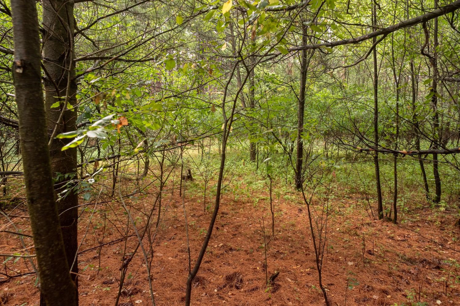 Deer Path, Unit 37 Hancock, WI 54943 - Photo 13 of 27 Gallery Image 13