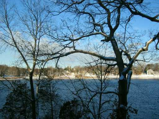 110 Island Lake Road Chelsea, MI 48118 - Photo 3 of 7 Photo 3