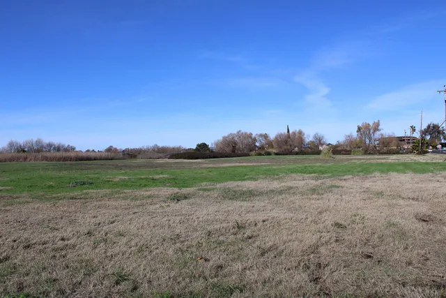 a view of a field with trees in background