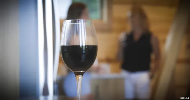 $6,995,000 | 1667 Sherwood Camp Road, Unit 11424, Dahinda, IL 61428