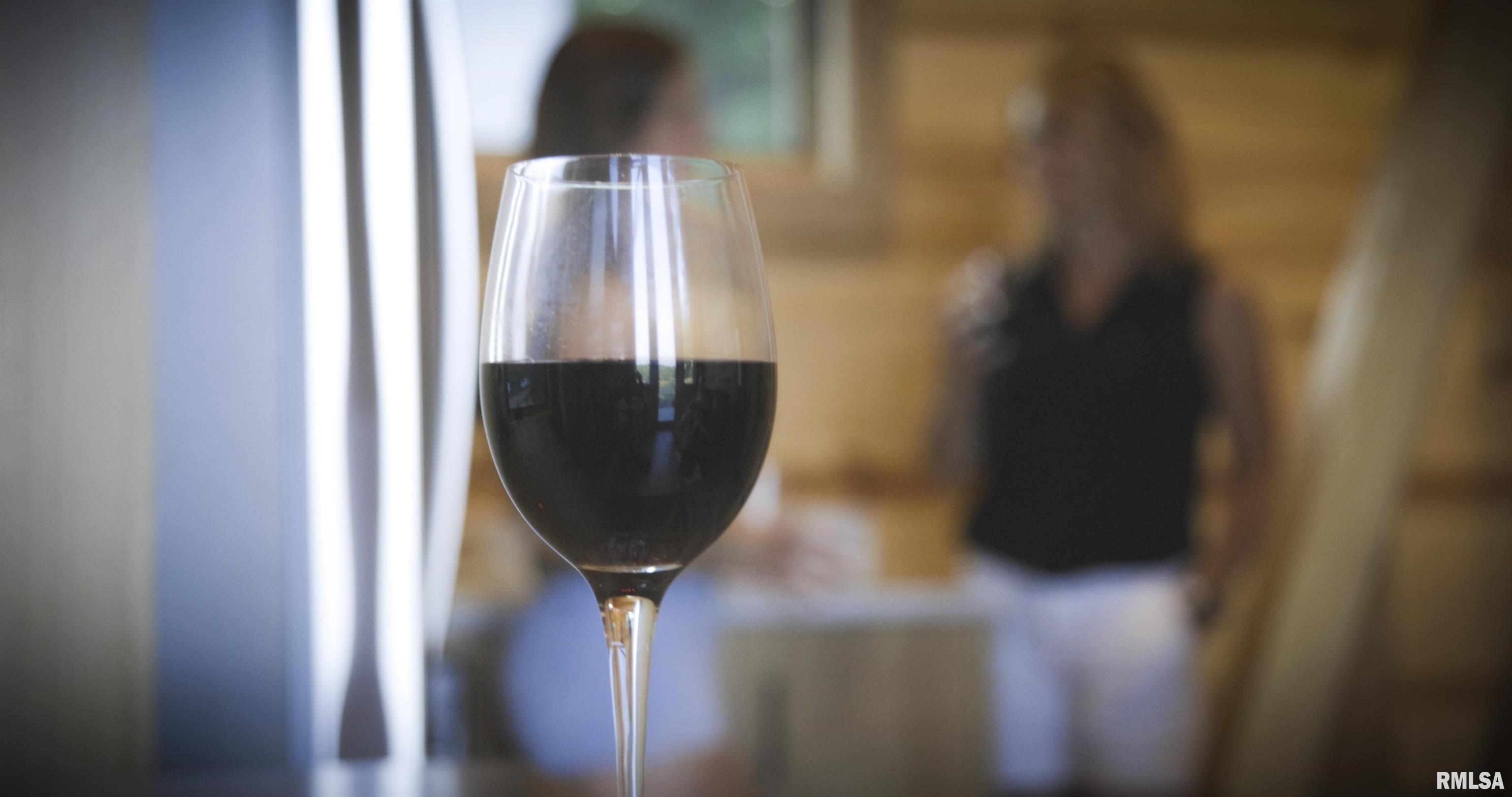 1667 Sherwood Camp Road, Unit 11424 Dahinda, IL 61428 - Photo 34 of 67