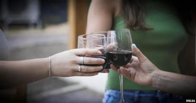 $6,995,000 | 1667 Sherwood Camp Road, Unit 11424, Dahinda, IL 61428