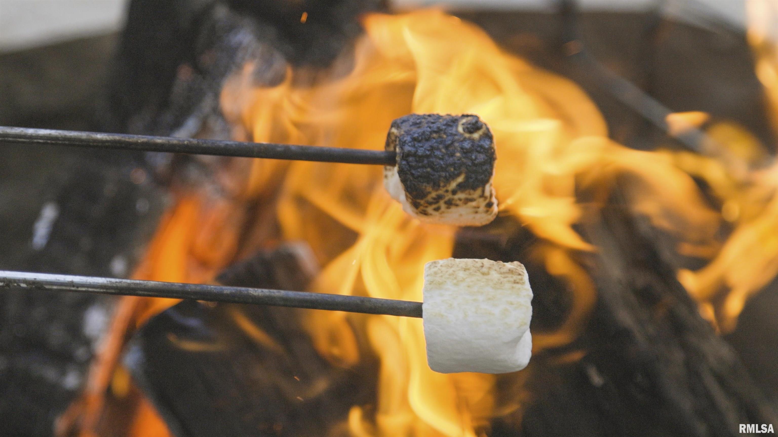 1667 Sherwood Camp Road, Unit 11424 Dahinda, IL 61428 - Photo 38 of 67