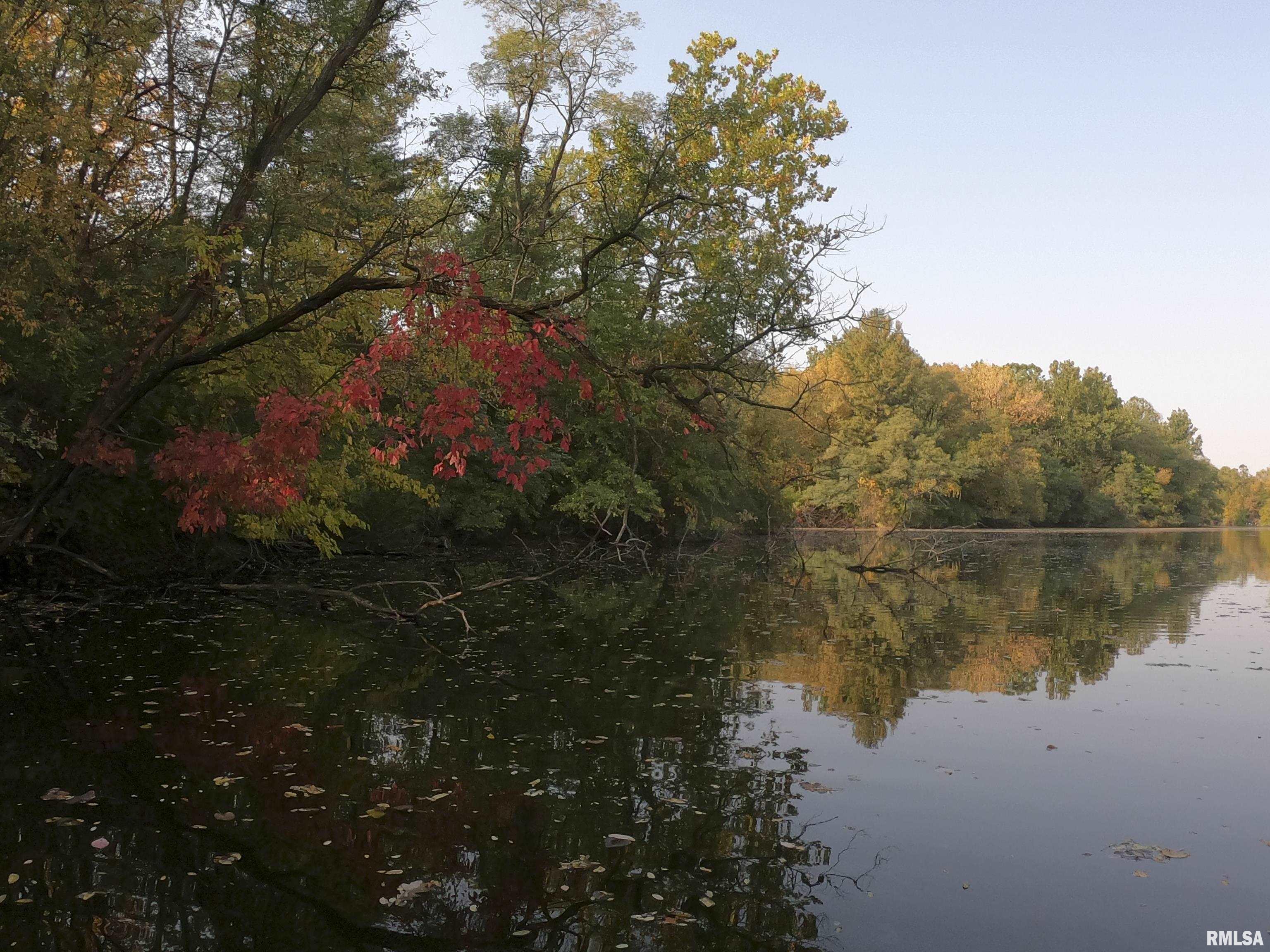 1667 Sherwood Camp Road, Unit 11424 Dahinda, IL 61428 - Photo 60 of 67