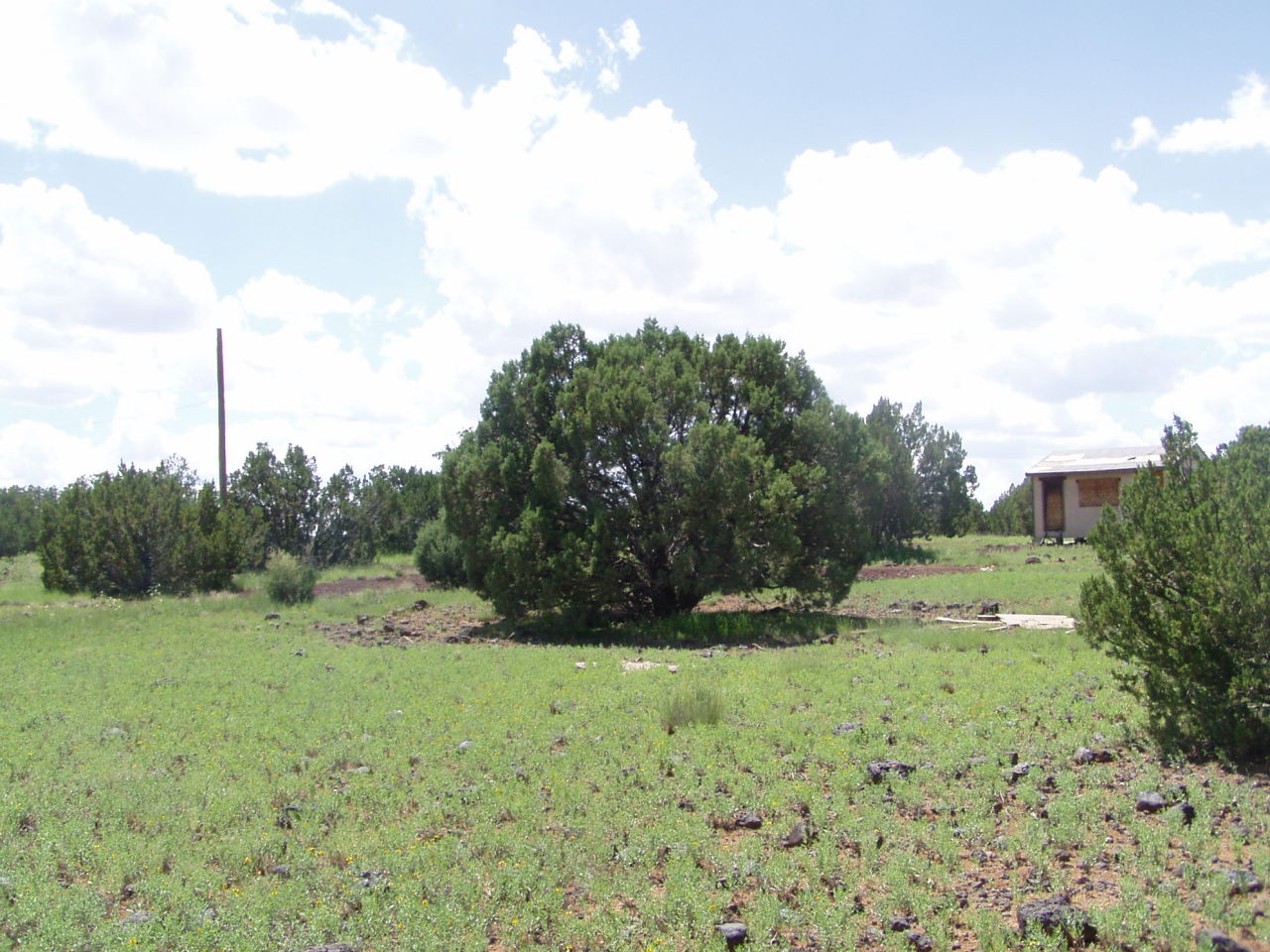 2108 Kc Ranch Road, Unit 7 Show Low, AZ 85901 - Photo 4 of 4 FROM ROAD