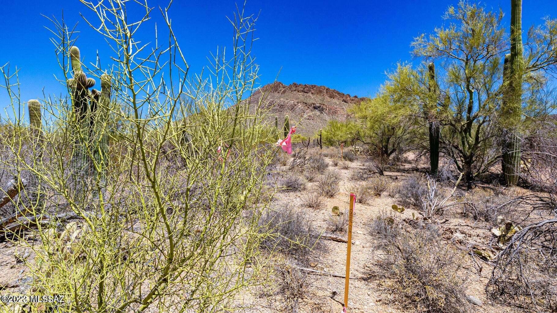 2621 South Kinney Road Tucson, AZ 85713 - Photo 4 of 12