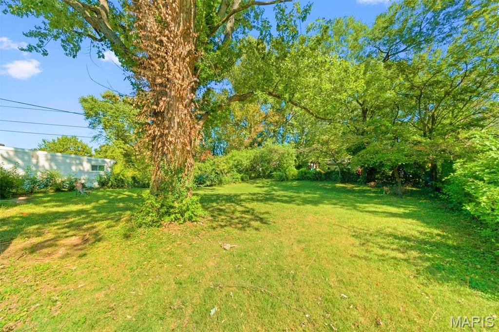 10030 Mccartney Lane St. Louis, MO 63137 - Photo 28 of 30