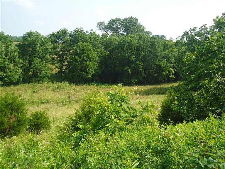 1153 Locust Fork Road Stamping Ground, KY 40379 - Photo 2 of 10 Photo 2