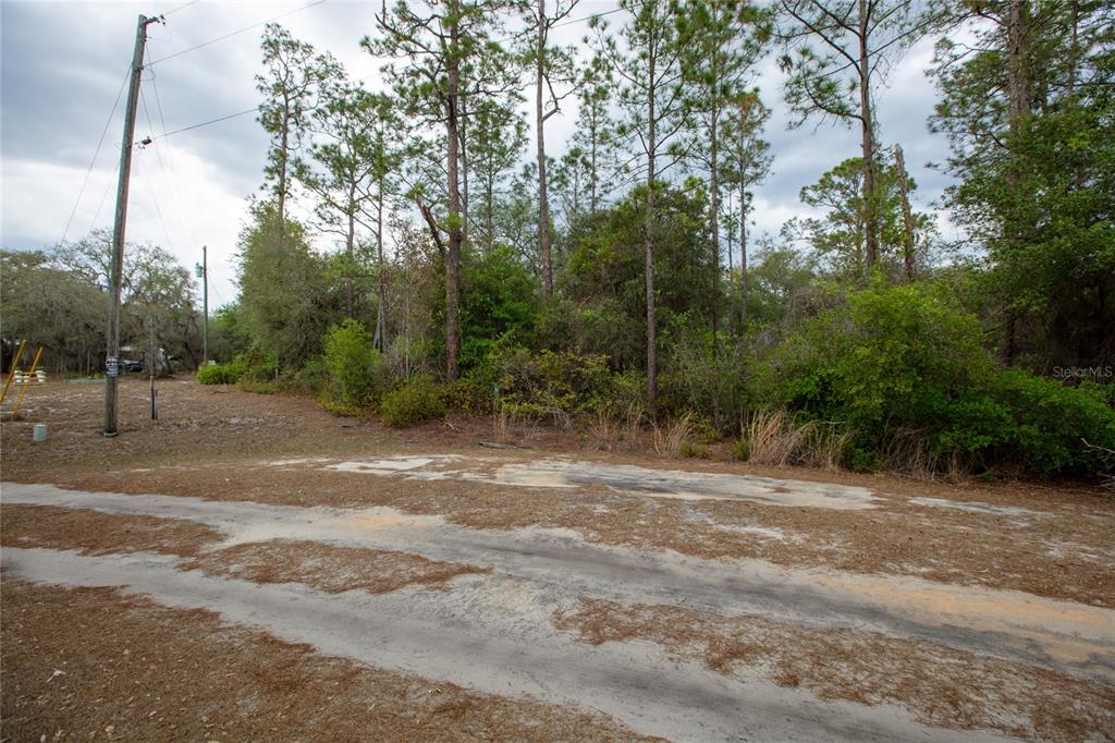 5829 Bryce Street Keystone Heights, FL 32656 - Photo 6 of 9