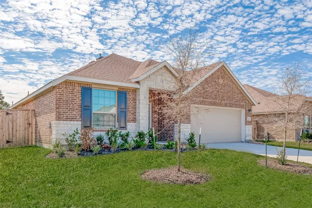a backyard of a house with plants and large tree