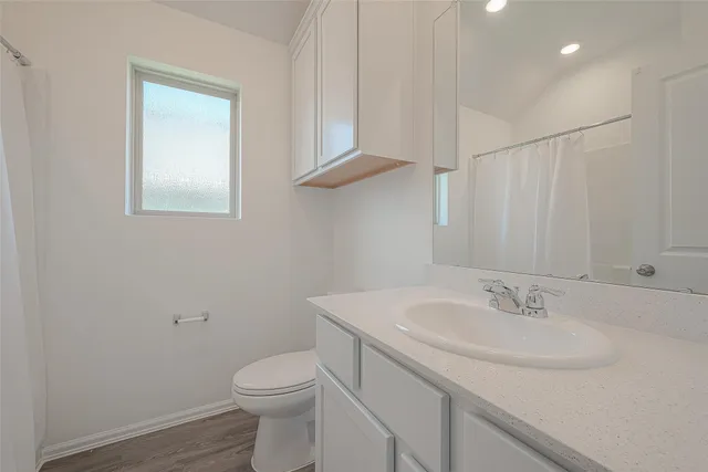 a bathroom with a sink toilet and vanity