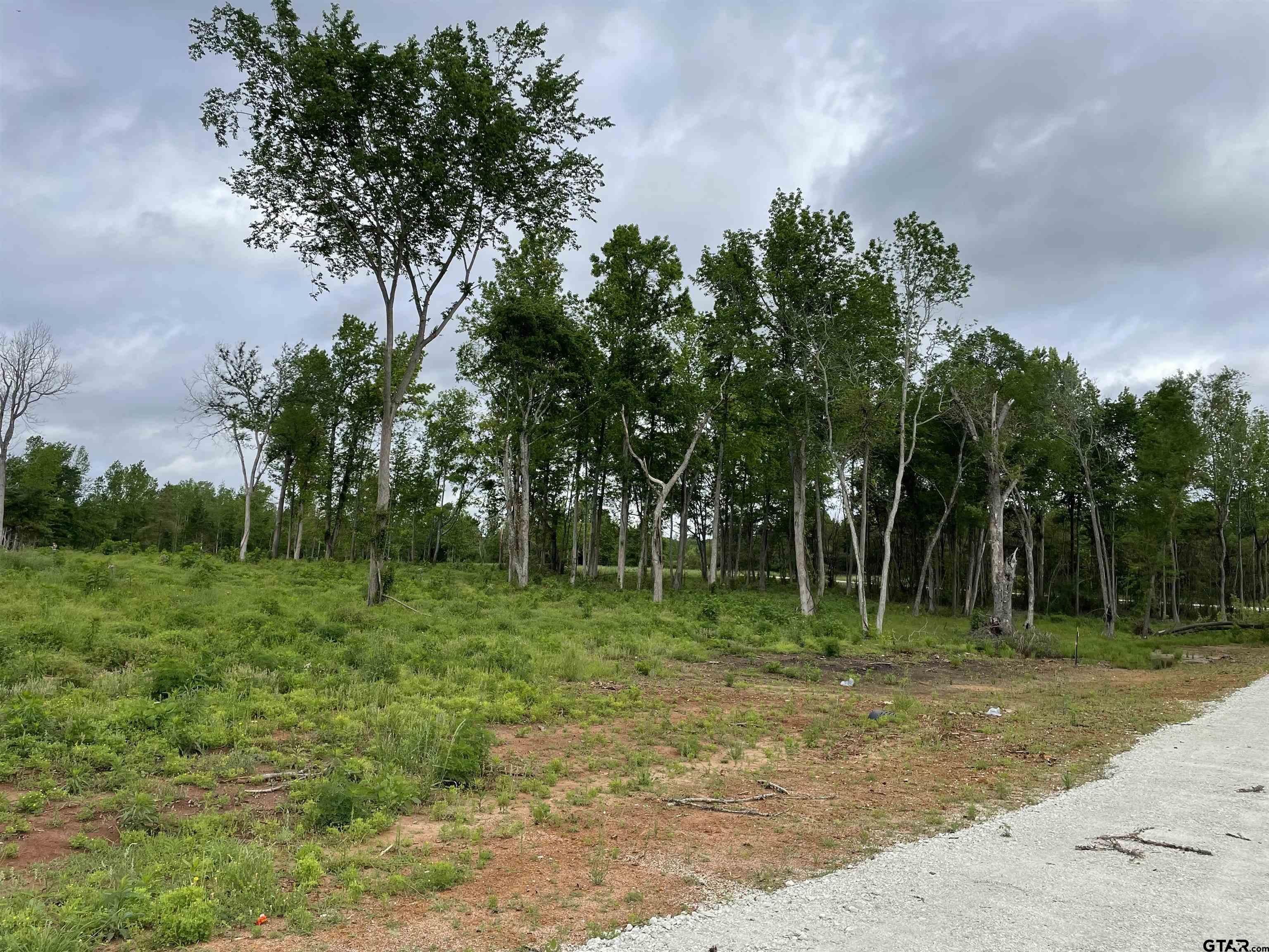 Tbd Tbd Pin Oak Alto, TX 75925 - Photo 11 of 14