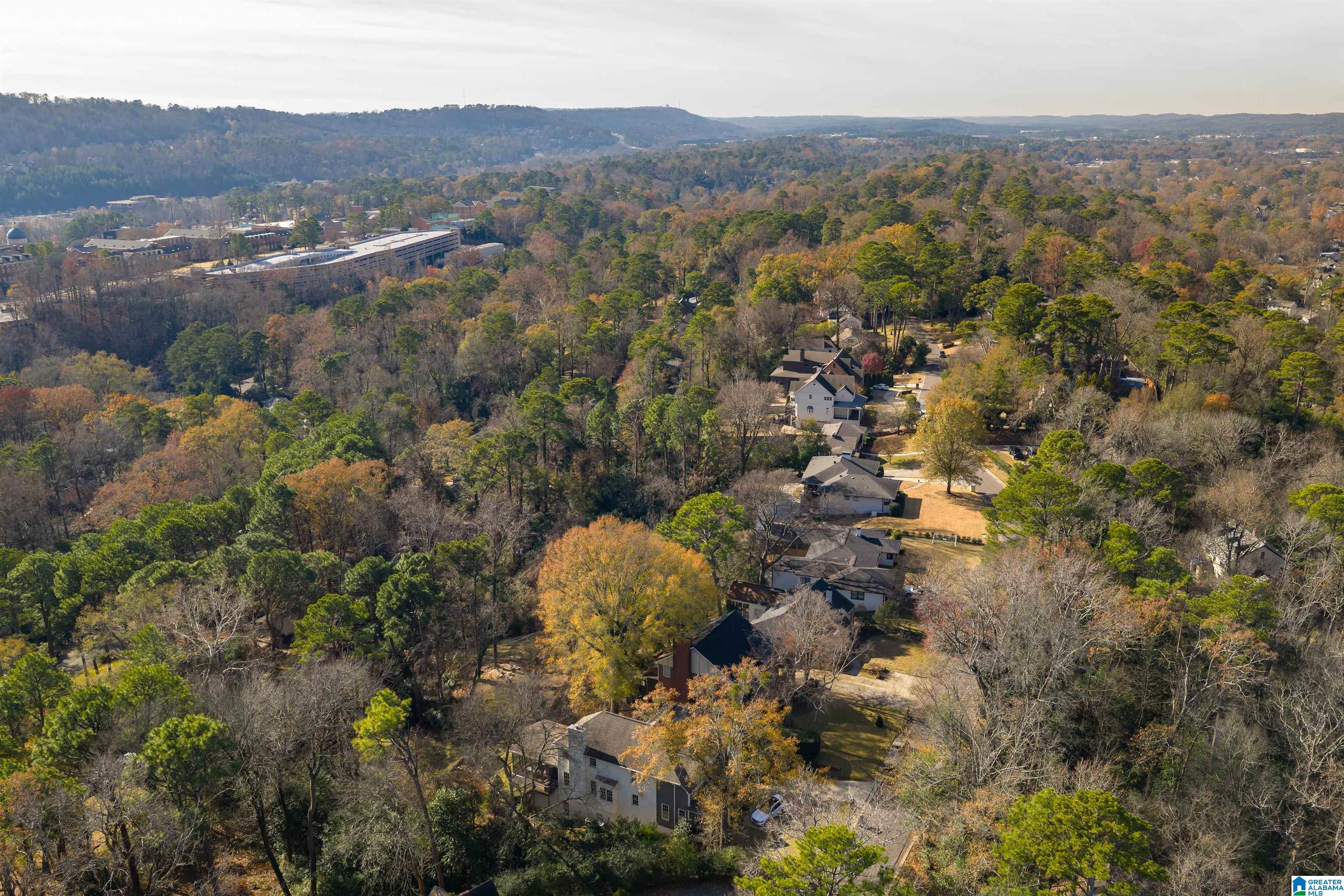 1745 Wellington Road Birmingham, AL 35209 - Photo 57 of 62