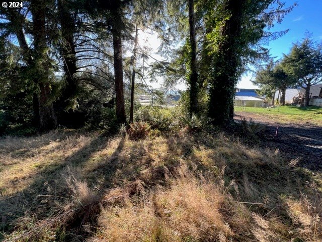 Fir Avenue Garibaldi, OR 97118 - Photo 11 of 32 Gallery Image 11