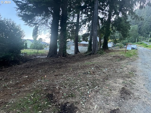 Fir Avenue Garibaldi, OR 97118 - Photo 13 of 32 Gallery Image 13