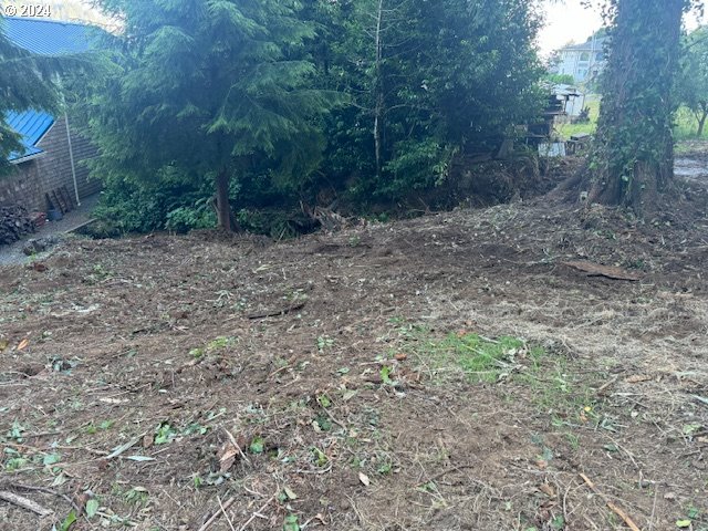 Fir Avenue Garibaldi, OR 97118 - Photo 18 of 32 Gallery Image 18