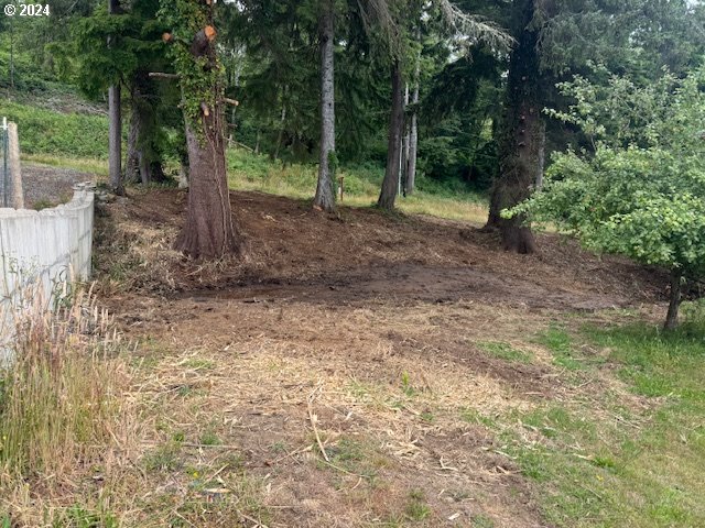 Fir Avenue Garibaldi, OR 97118 - Photo 21 of 32 Gallery Image 21