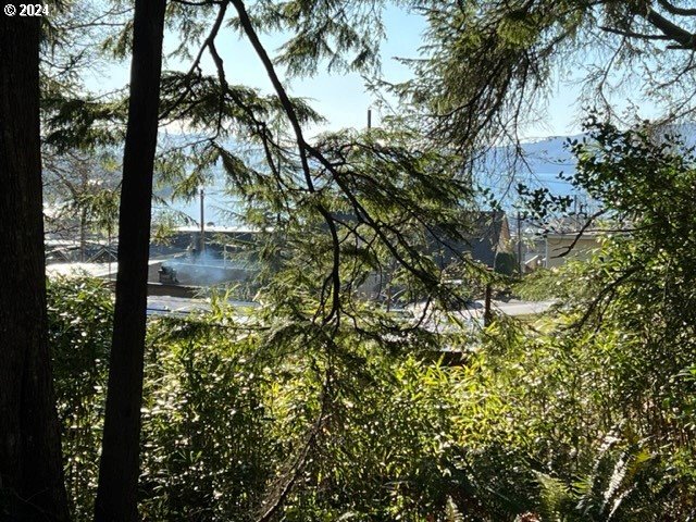 Fir Avenue Garibaldi, OR 97118 - Photo 5 of 32 Gallery Image 5