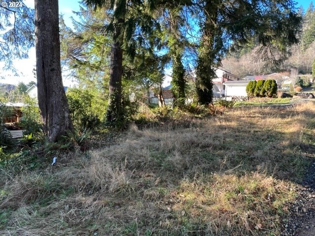 Fir Avenue Garibaldi, OR 97118 - Photo 8 of 32 Gallery Image 8