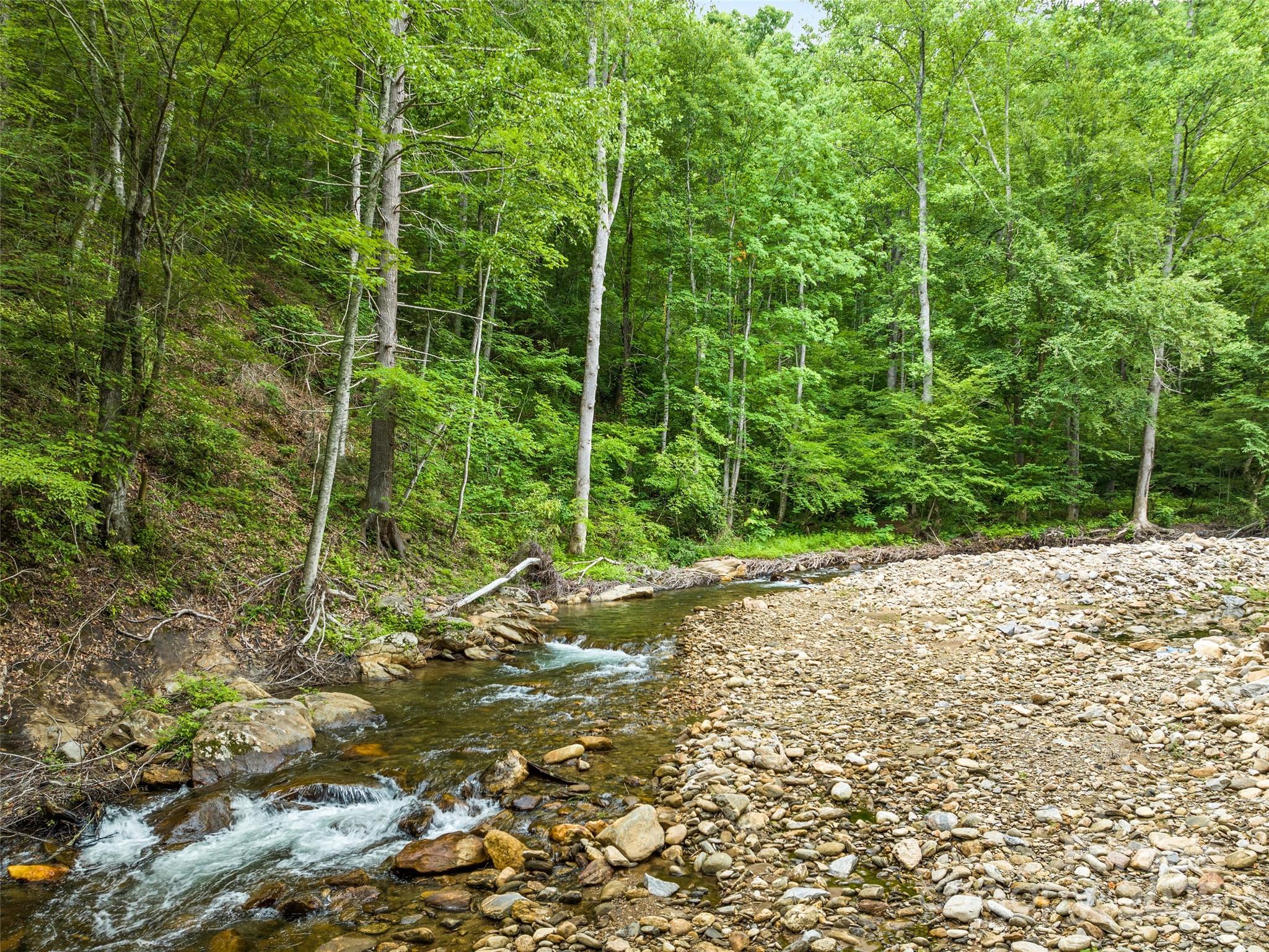 449 Little East Fork Road Canton, NC 28716 - Photo 9 of 40