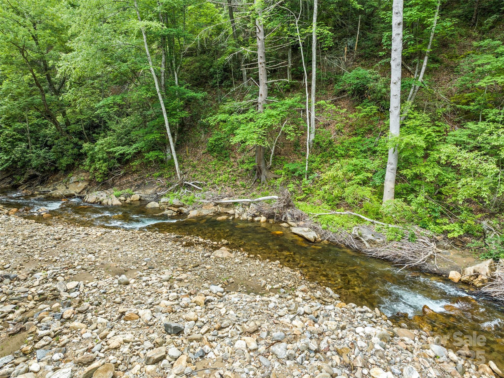 449 Little East Fork Road Canton, NC 28716 - Photo 10 of 40