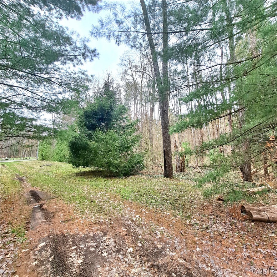 9636 Steam Mill Road Camden, NY 13316 - Photo 11 of 18