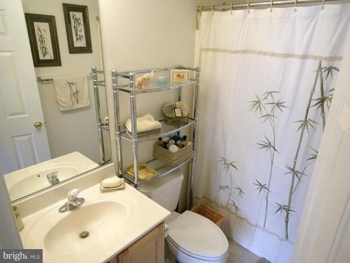 715 Mimosa Cove Road Deale, MD 20751 - Photo 18 of 21 Bath #2