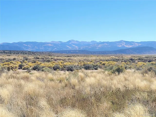 a view of a forest with trees