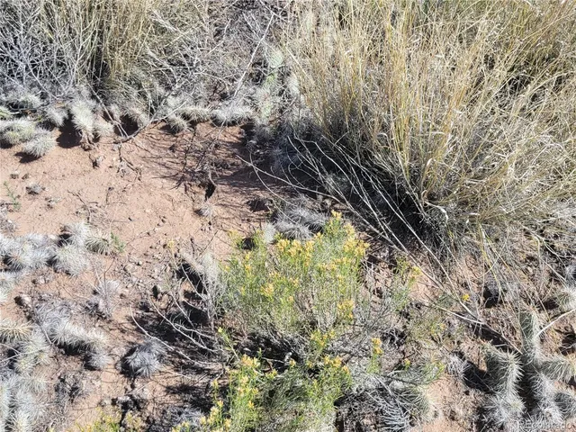 a view of beach and ocean