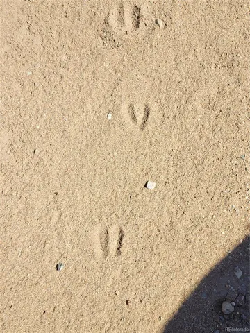 a view of ocean view with beach