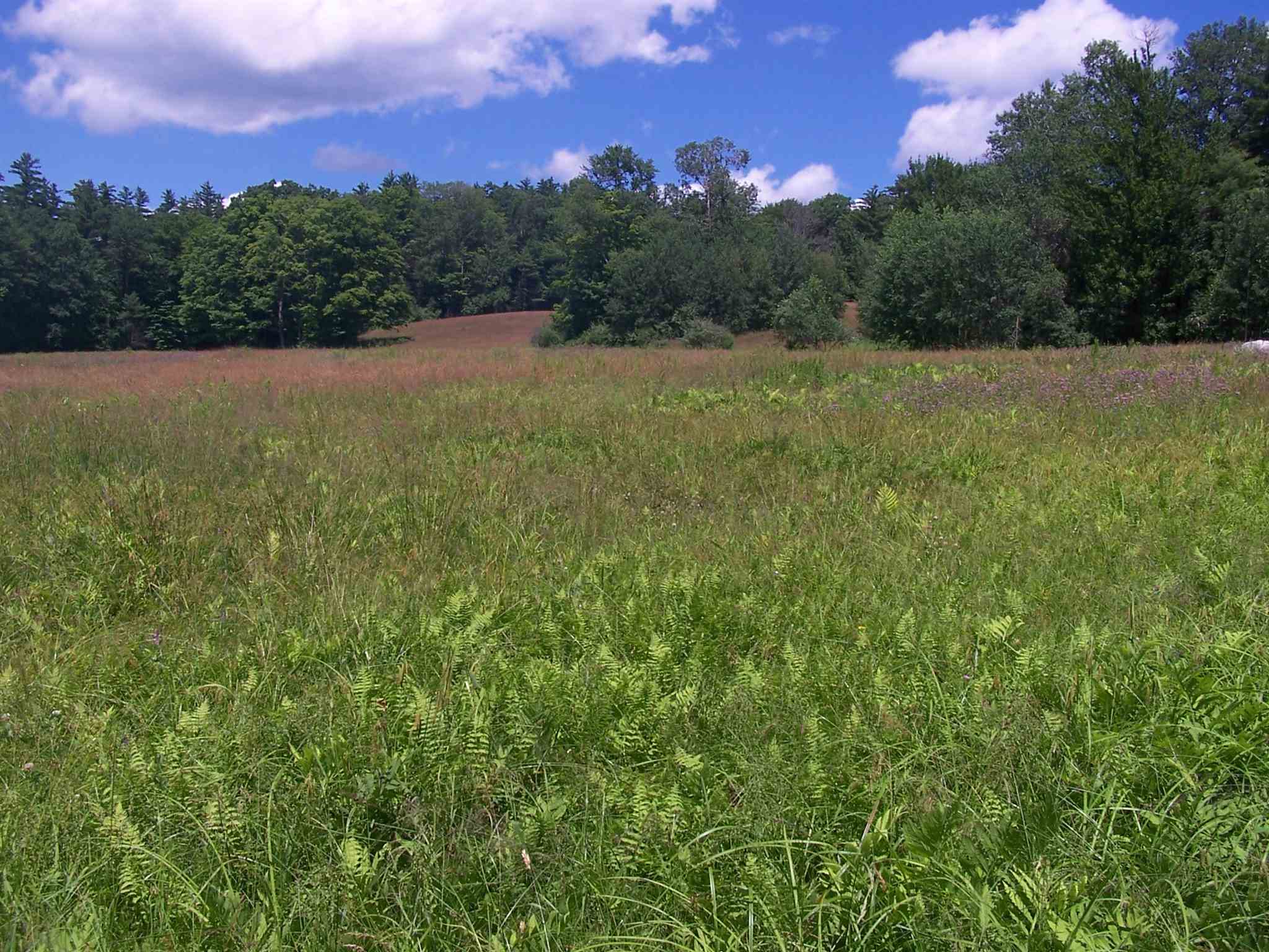 522 S Road Sullivan, NH 03445 - Photo 11 of 13