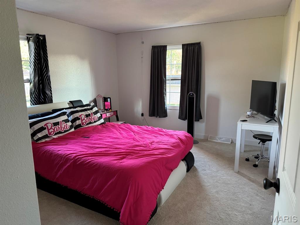 701 South Ridge Avenue Steeleville, IL 62288 - Photo 8 of 14