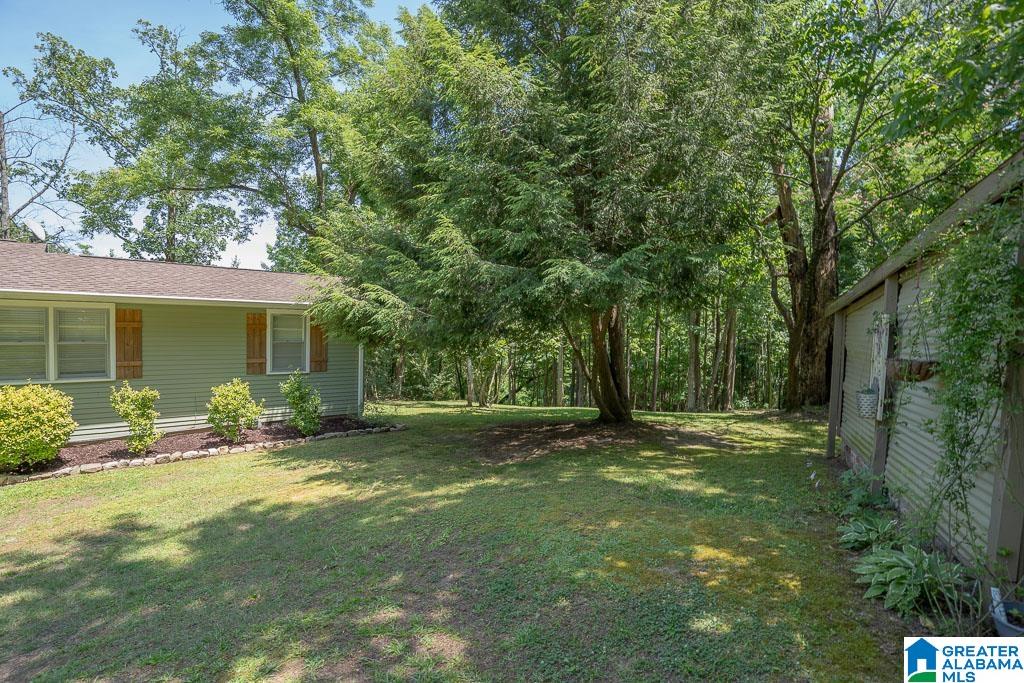 181 Old Lodge Road Woodstock, AL 35188 - Photo 39 of 51