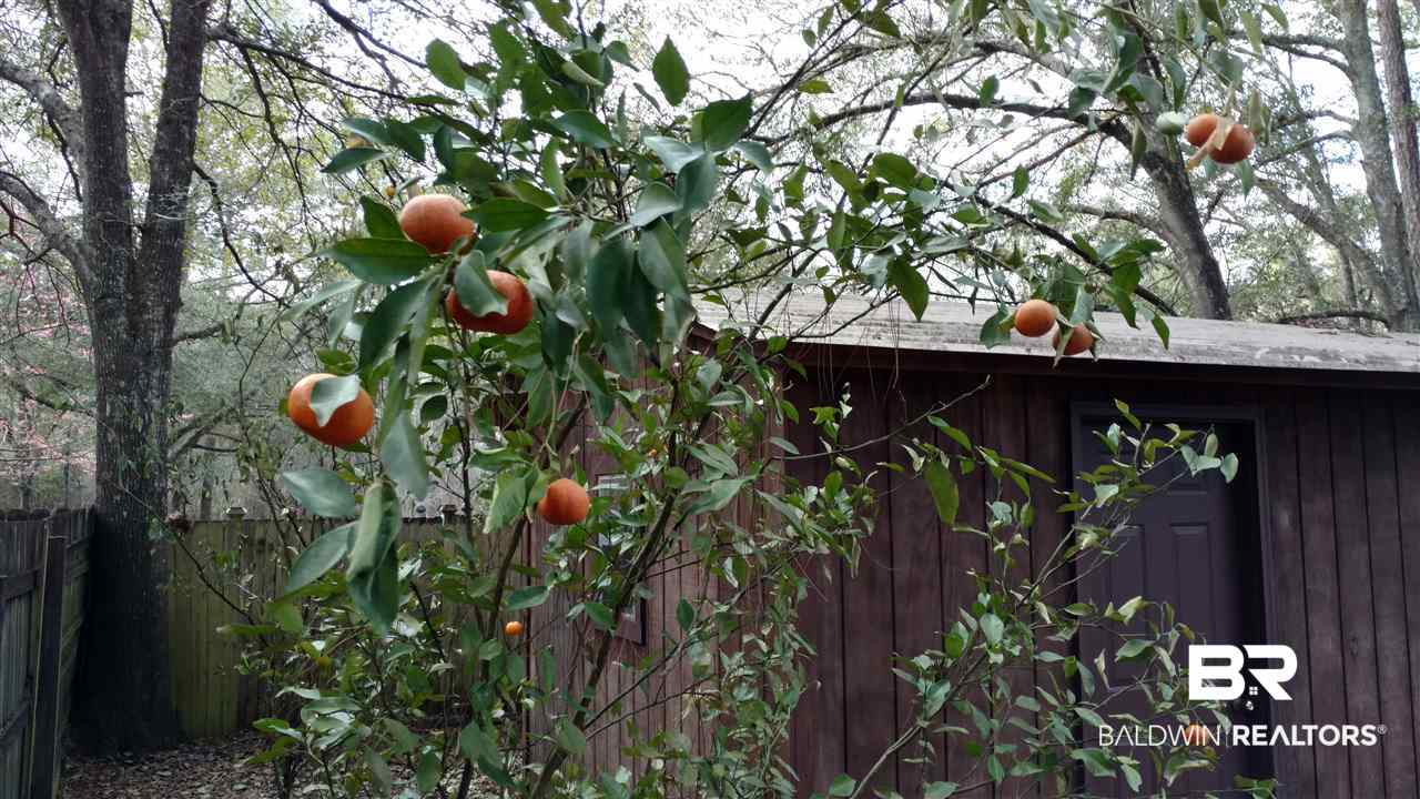 7958 Hilltop Street Mobile, AL 36619 - Photo 24 of 25