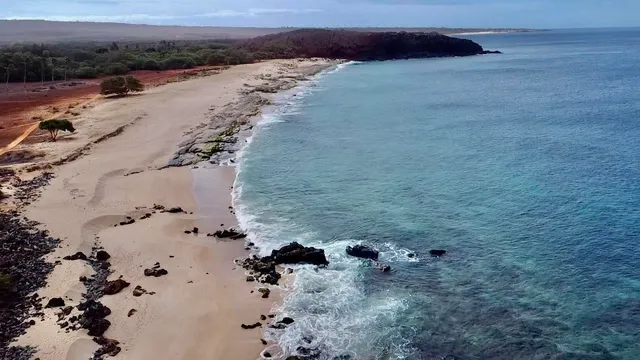 a view of a dry yard with wooden fence