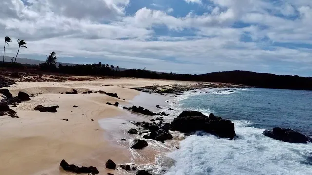 a view of roof with houses in back