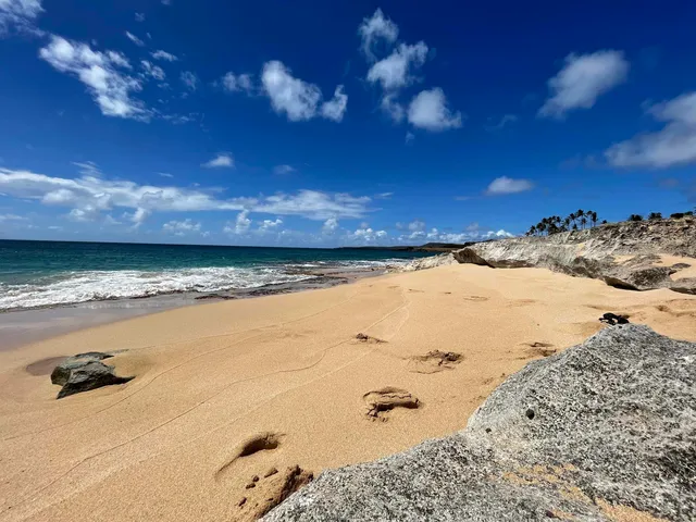 a view of ocean view with beach