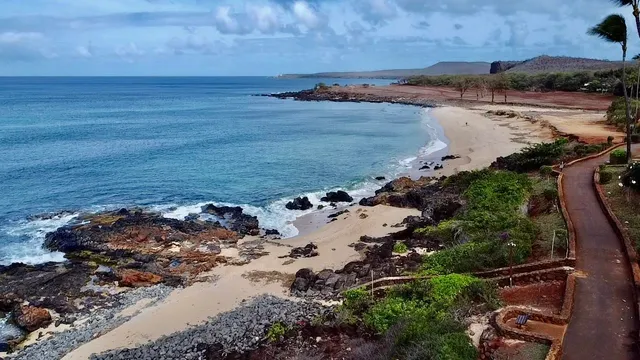 an aerial view of beach and ocean